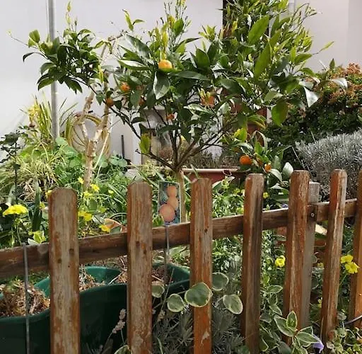 The Gate Patio House نازاريه