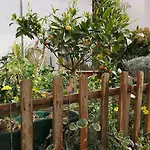 The Gate Patio House נאזרה